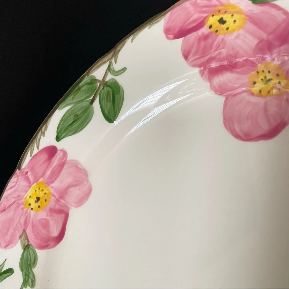 Desert Rose Dinner Plate by Franciscan